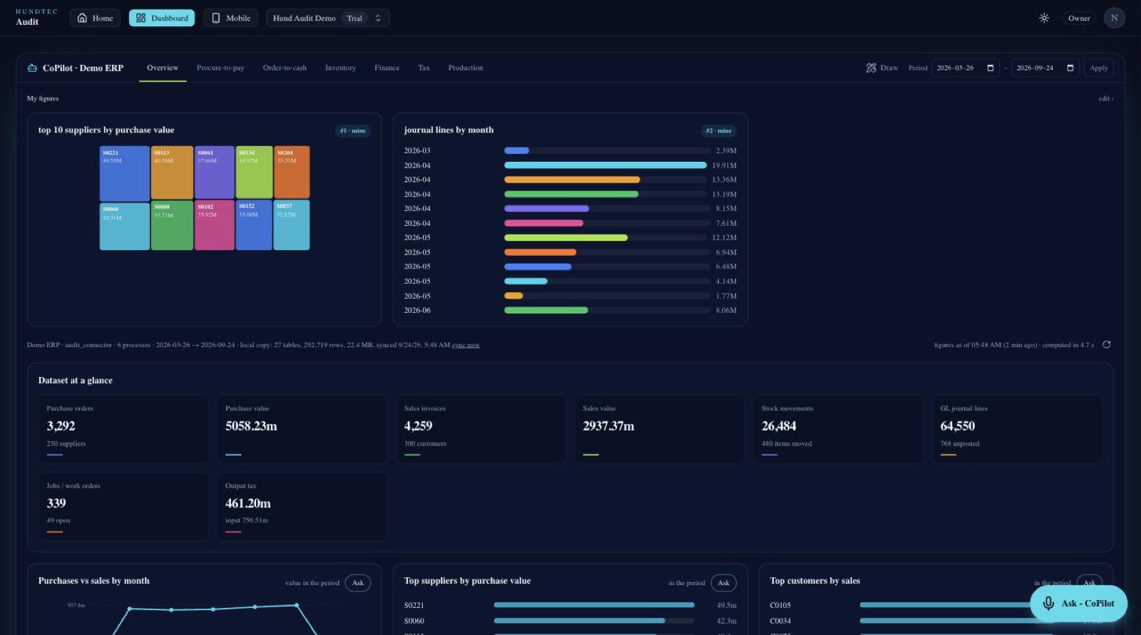 Vigilon CoPilot in the browser: purchases versus sales by month, top suppliers and customers, sales by category and the process map